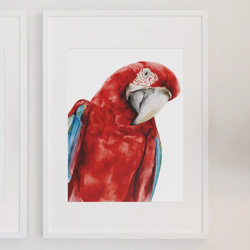 Red Macaw Parrot Watercolor Wall Art Print Poster Unframed - Picture 3 of 9